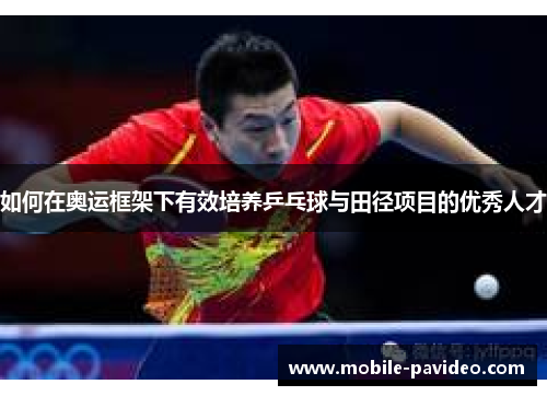 如何在奥运框架下有效培养乒乓球与田径项目的优秀人才 如何在奥运框架下有效培养乒乓球与田径项目的优秀人才