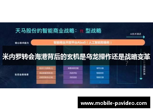 米内罗转会海港背后的玄机是乌龙操作还是战略变革 米内罗转会海港背后的玄机是乌龙操作还是战略变革