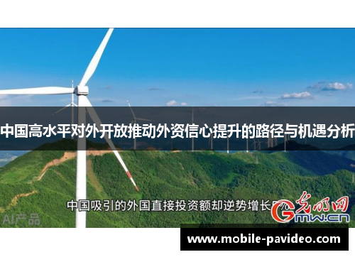 中国高水平对外开放推动外资信心提升的路径与机遇分析 中国高水平对外开放推动外资信心提升的路径与机遇分析