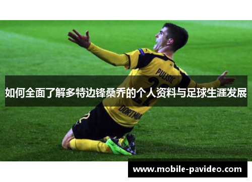 如何全面了解多特边锋桑乔的个人资料与足球生涯发展 如何全面了解多特边锋桑乔的个人资料与足球生涯发展