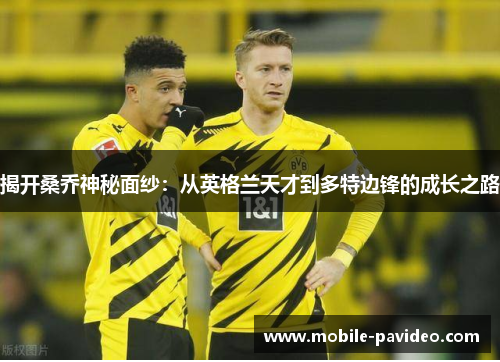 揭开桑乔神秘面纱:从英格兰天才到多特边锋的成长之路 揭开桑乔神秘面纱:从英格兰天才到多特边锋的成长之路
