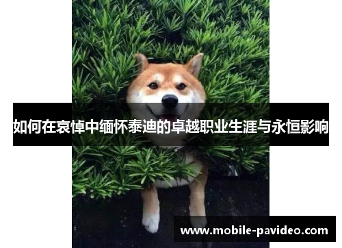 如何在哀悼中缅怀泰迪的卓越职业生涯与永恒影响 如何在哀悼中缅怀泰迪的卓越职业生涯与永恒影响
