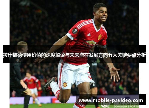 拉什福德使用价值的深度解读与未来潜在发展方向五大关键要点分析 拉什福德使用价值的深度解读与未来潜在发展方向五大关键要点分析