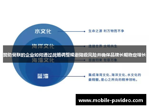 赞助曼联的企业如何通过战略调整规避降级风险并确保品牌长期稳定增长 赞助曼联的企业如何通过战略调整规避降级风险并确保品牌长期稳定增长