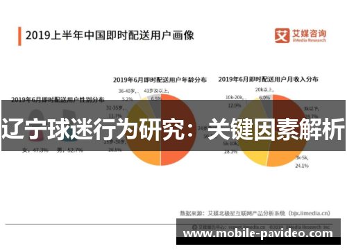 辽宁球迷行为研究：关键因素解析