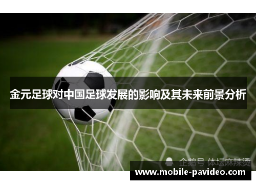 金元足球对中国足球发展的影响及其未来前景分析