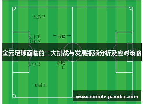 金元足球面临的三大挑战与发展瓶颈分析及应对策略