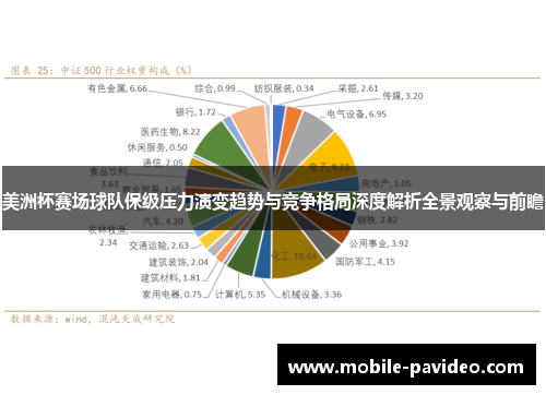 美洲杯赛场球队保级压力演变趋势与竞争格局深度解析全景观察与前瞻 美洲杯赛场球队保级压力演变趋势与竞争格局深度解析全景观察与前瞻