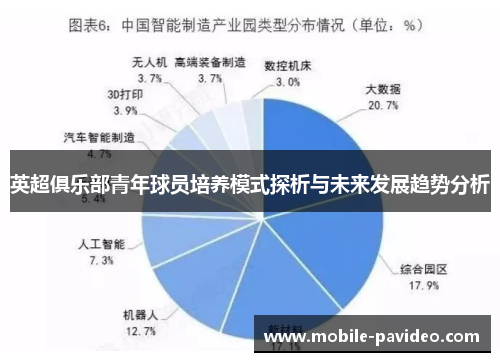 英超俱乐部青年球员培养模式探析与未来发展趋势分析