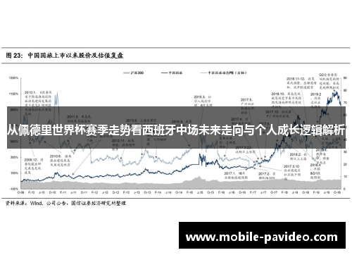 从佩德里世界杯赛季走势看西班牙中场未来走向与个人成长逻辑解析