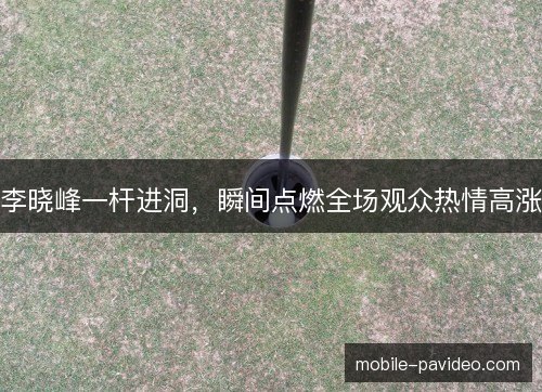 李晓峰一杆进洞，瞬间点燃全场观众热情高涨